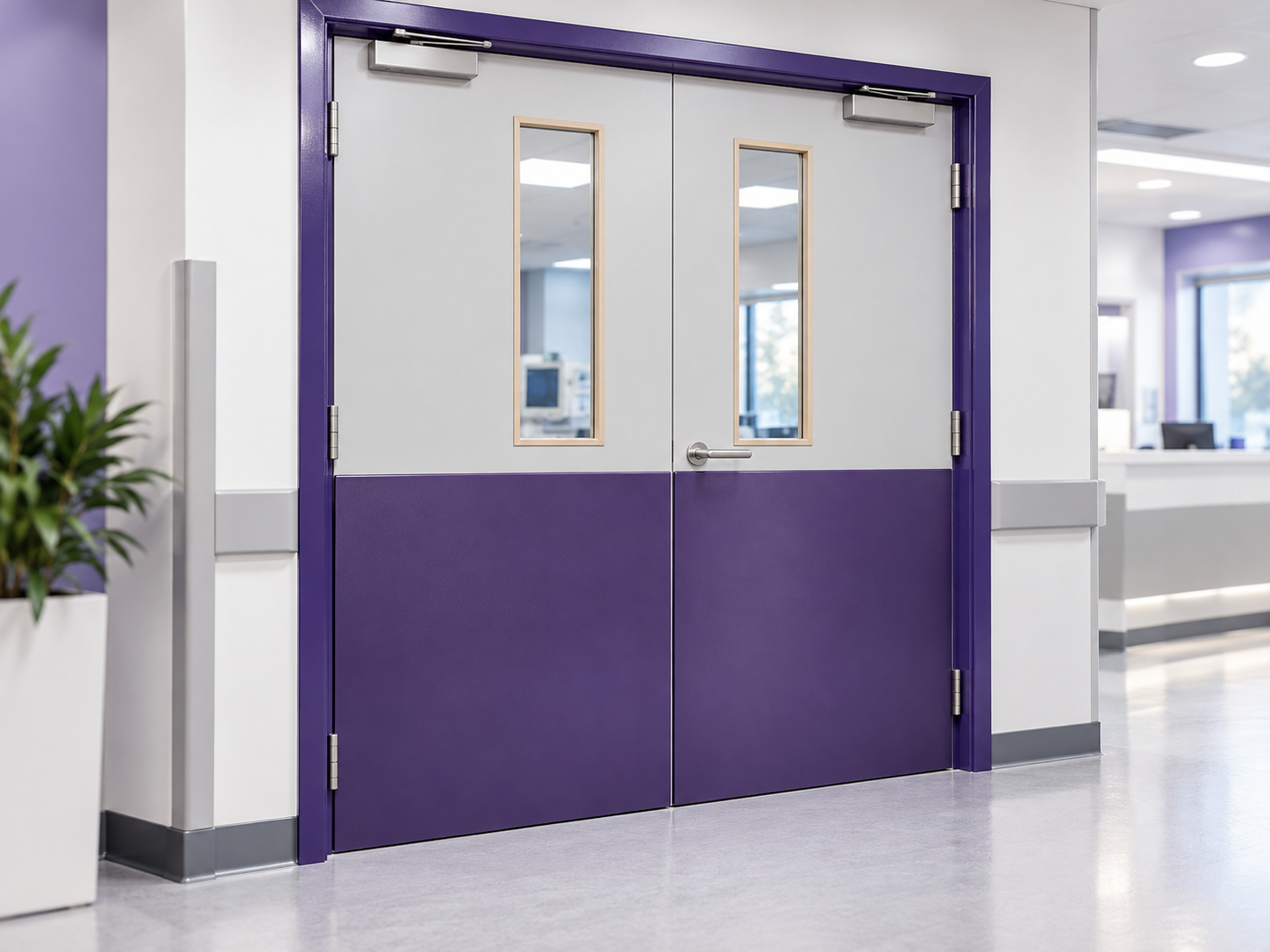 Protected fire door in healthcare environment